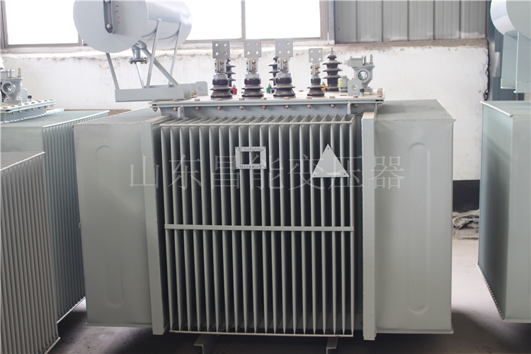 衡水S20-2000KVA变压器